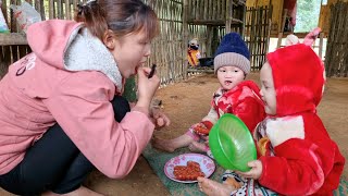 Harvest the green bean garden and bring it to the market to sell  Chúc Thị Duyên [upl. by Bruyn]