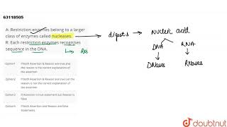 A Restriction enzymes belong to a larger class of enzymes called nucleases R Each restriction enz [upl. by Maybelle]