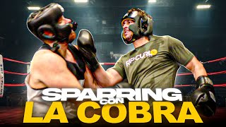 APLASTANDO A LA COBRA  SPARRING CON GUARDIA ALTA  PARTE 1 [upl. by Lupien]