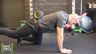 How to do the Bird Dog Exercise for Spine Stability [upl. by Ammadis]