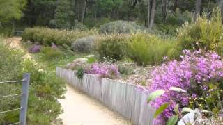 An introduction to the Eurobodalla Regional Botanic Gardens [upl. by Dodds]