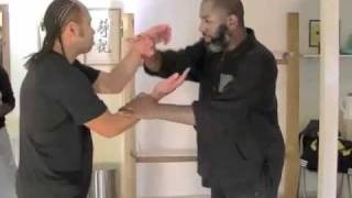 Wing Chun Training 1 [upl. by Gonzalez]