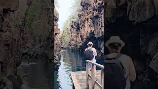 Galápagos 🇪🇨 paradise nature wildlife [upl. by Scurlock]