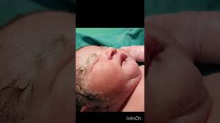 New born baby crying [upl. by Acirehs]