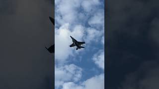 FA18F Super Hornet Rhino Demo Team Fast Pass Overhead Stuart Airshow 2024 military usnavy f18 [upl. by Irik654]