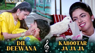 Dil Deewana X Kabootar Ja Ja Ja  Bhagyashree Superhit Songs  Salman Khan Songs [upl. by Delfeena]