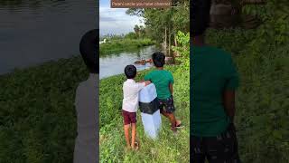 காளைமாடுகளை முதுகு தேய்ச்சு குளிப்பாட்டி விடும் மாமனிதன் bullock bullockrace bullockvideo river [upl. by Anaicul]