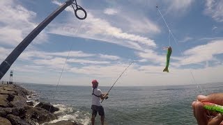 Shore Fishing for Fluke Using Gulp Products Barnegat Light NJ [upl. by Dibri720]