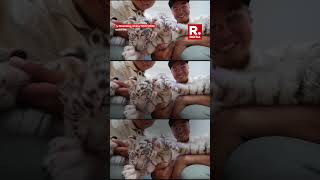 China’s Rongcheng Wildlife Park Welcomes Trio of Bengal White Tiger Cubs [upl. by Sender978]