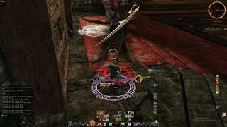 LOTRO  Lvl 50 BG Udunion Red Brawler Solo Treebeard [upl. by Nnyl]