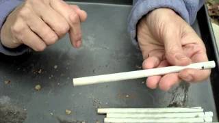 Opening Mason Bee Nesting Straws Part One [upl. by Nolyak340]