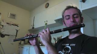 The Blackthorn Stick  Irish Flute  slowfast [upl. by Travers]