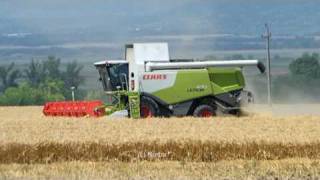 The New Claas Lexion Claas Lexion 670  V900 Harvest in Hungary 2010 [upl. by Marpet130]