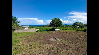 OCEAN VIEW PROPERTY IN DAUIN [upl. by Marena]