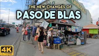 A HUGE Improvement of Paso de Blas Valenzuela City  4K Metro Manila Walk tour Philippines [upl. by Cotter]