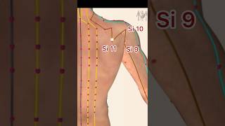 Small Intestine Meridian Acupuncture points acupuncture [upl. by Storz]