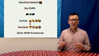 Der Euro Vorteile und Nachteile einer Währungsunion  WiSoPOLITIKMrG 👨‍🏫 Abitur SOWI Sozialkunde [upl. by Nolat]