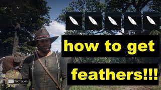 Red dead redemption 2 How to get feathers [upl. by Innavoig]