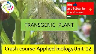 LESSON 4 TRANSGENIC PLANT  CRASH COURSE ON APPLIED BIOLOGY  CSIRNET BIOTECHNOLOGY  DBT [upl. by Atoiyanap]