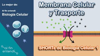 Membrana celular  Transporte Activo y pasivo [upl. by Fihsak]