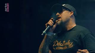 Cypress Hill Live Cabaret Vert Festival 2017 [upl. by Lilaj]