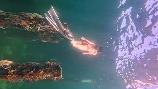 busselton jetty freediving western australia [upl. by Anide]