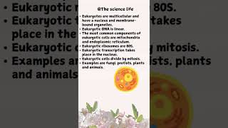 Prokaryotes VS Eukaryotes Whats the differenceprokaryotes eukaryotes shorts [upl. by Honig146]