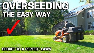 How to OVERSEED Your Lawn in FALL  Easy Way [upl. by Artemus]