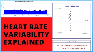 Heart Rate Variability Explained [upl. by Alboran669]