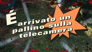 È LA PRIMA VOLTA UN PALLINO SULLA TELECAMERA CHE SFIGA [upl. by Odele]