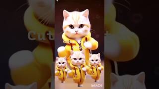 Cute Kitten DanceCute Cat Dance catlover cutecat pets cute catdance dogdance catdancercat [upl. by Keri439]