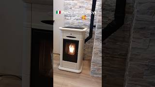 😱😱😱 Piękny stylowy piecyk na pellet Eva Calor Alina 🥰 pellet kominek fireplace pelletstove [upl. by Ellives878]