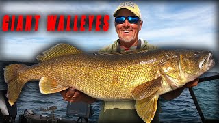 New Ways to Catch GIANT Walleyes [upl. by Kcirde]