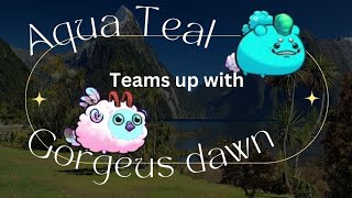 axie classic aqua teal shell cottontail jaguar razorbite teams up my MG super fast dawn [upl. by Ociram937]