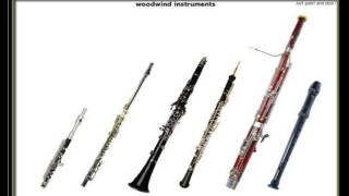 selezione di strumenti a fiato ottavino flauto clarinetto flauto oboe fagotto [upl. by Laud]