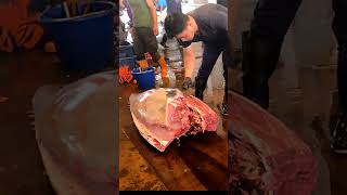 The bluefin tuna belly meat priced over 10000 [upl. by Ashti]