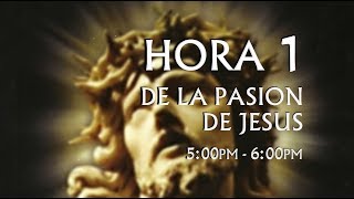 22 Vigésima Segunda Hora  2 3 pm Tercera Hora de Agonía de Jesús en la Cruz [upl. by Shalom357]