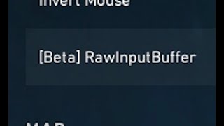 VALORANT Raw Input Bufferとは何か [upl. by Ellirehs872]