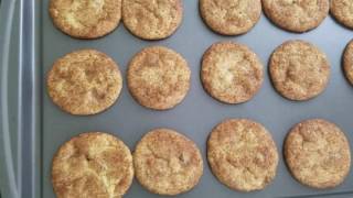 Quick and Easy Snickerdoodle Recipe  Ready to Eat in 20 Minutes [upl. by Essined697]