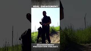 How do we Create Natural Engagement in Dog Training [upl. by Oetsira]