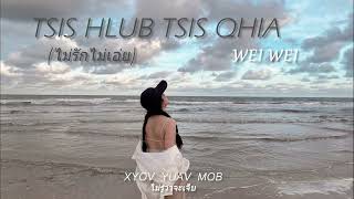 Tsis hlub tsis qhia by WeiWei ［Official Audio］ [upl. by Fineberg]