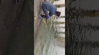 🎣 Best fishing video 🎣 like share comment fishing fish adoni ABDULSAMIfishing 🤗KaalFisher🤗 [upl. by Etem]