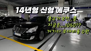 신형 에쿠스 중고차 창원중고차 [upl. by Noyart374]