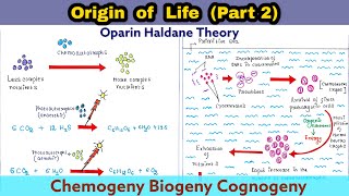 Oparin Haldane Theory  Origin of life  Part 2  Chemogeny  Biogeny  Cognogeny  Evolution [upl. by Salguod963]