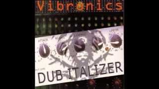 Vibronics Positive Direction  Positive Dub [upl. by Vere916]