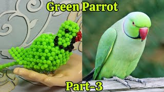 3D Beaded Green Parrot Tutorial Part3 by Bead Rose Sons [upl. by Trill462]