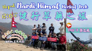 Day 3NepalMardi Himal Herbal Trek【尼泊爾健行草藥之旅】第三天 [upl. by Yhtomot40]