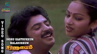 Indru Kaatrukkum Video Song  Saranalayam  Mohan  Nalini  MSViswanathan  Music Studio [upl. by Leeda]