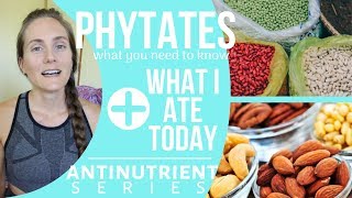 Managing PHYTATES on a PlantBased Diet  What I Ate Today [upl. by Enitsenre]