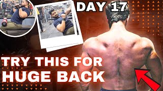 Best Exercise For Back 💪🏻 Day 17  60 Days Transformation [upl. by Westney631]